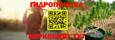 шишки Донской